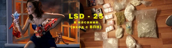 ГАЛЛЮЦИНОГЕННЫЕ ГРИБЫ Балахна