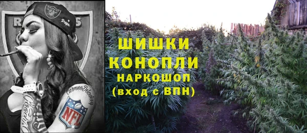 ГАЛЛЮЦИНОГЕННЫЕ ГРИБЫ Балахна