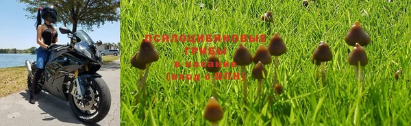 прущая мука Баксан