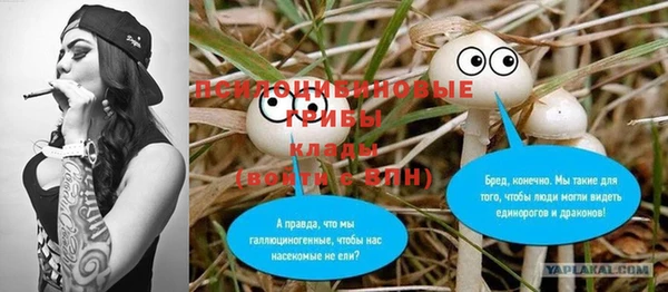 ГАЛЛЮЦИНОГЕННЫЕ ГРИБЫ Балахна